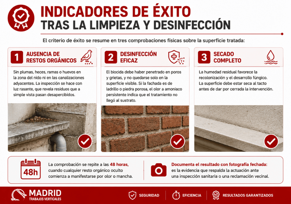 Cómo eliminar nidos de palomas en fachadas de forma segura